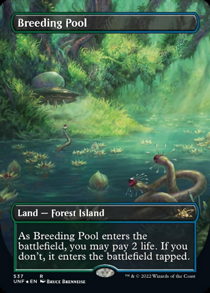 Breeding Pool (Borderless) (Galaxy Foil) [Unfinity] | Rook's Games and More