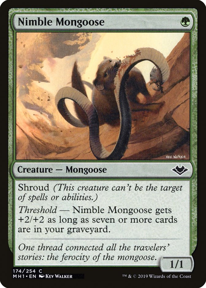 Nimble Mongoose [Modern Horizons] | Rook's Games and More