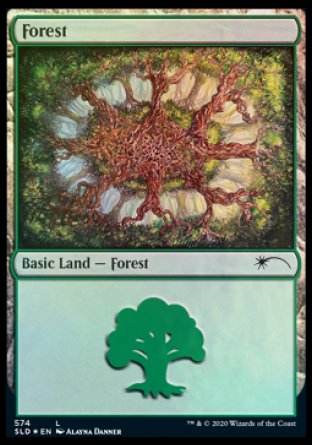 Forest (Plus One) (574) [Secret Lair Drop Promos] | Rook's Games and More