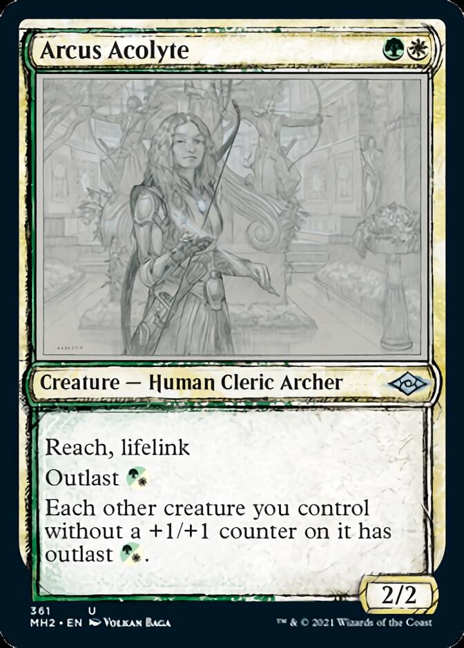 Arcus Acolyte (Sketch) [Modern Horizons 2] | Rook's Games and More