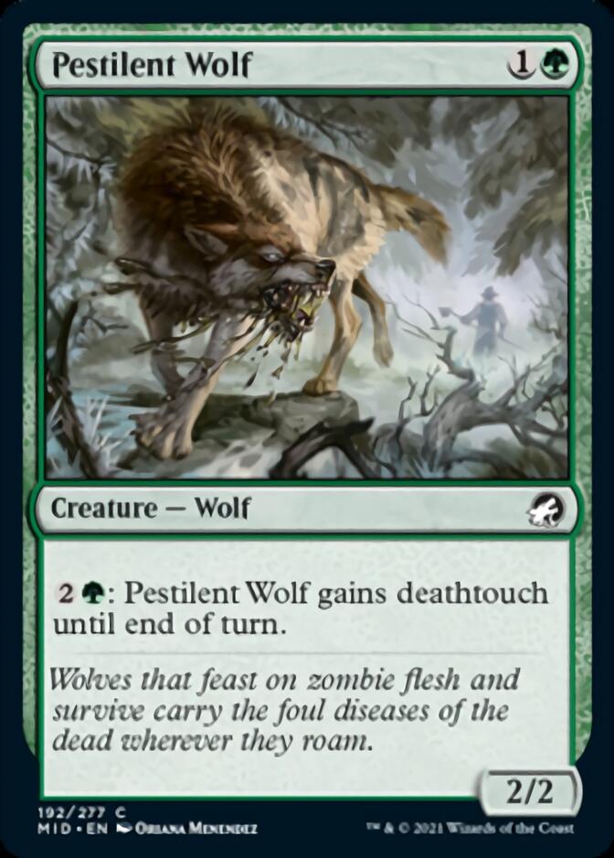 Pestilent Wolf [Innistrad: Midnight Hunt] | Rook's Games and More