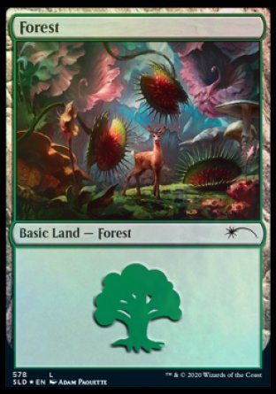Forest (Predatory) (578) [Secret Lair Drop Promos] | Rook's Games and More