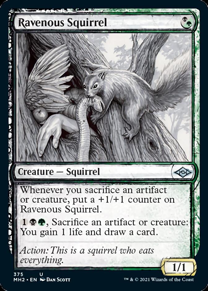 Ravenous Squirrel (Sketch) [Modern Horizons 2] | Rook's Games and More