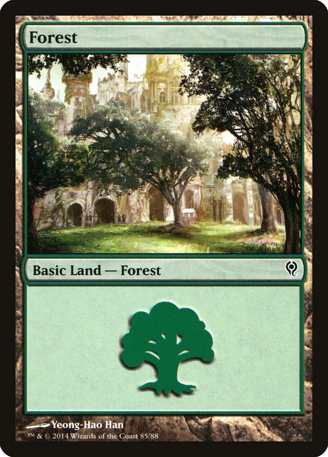 Forest (85) [Duel Decks: Jace vs. Vraska] | Rook's Games and More