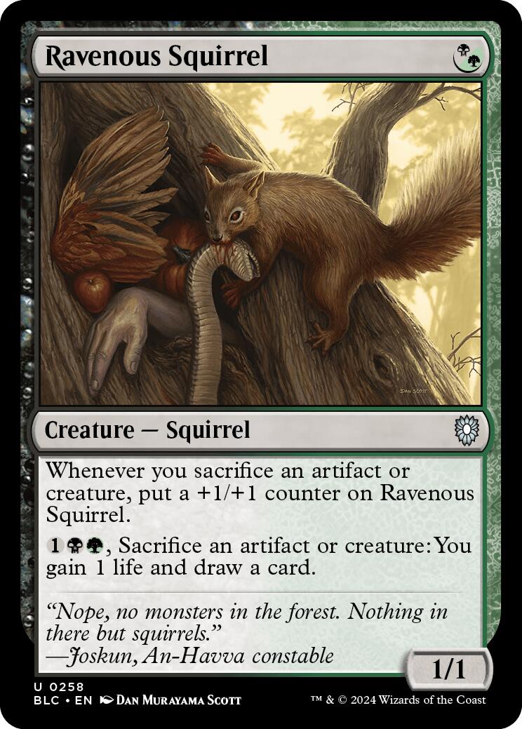 Ravenous Squirrel [Bloomburrow Commander] | Rook's Games and More