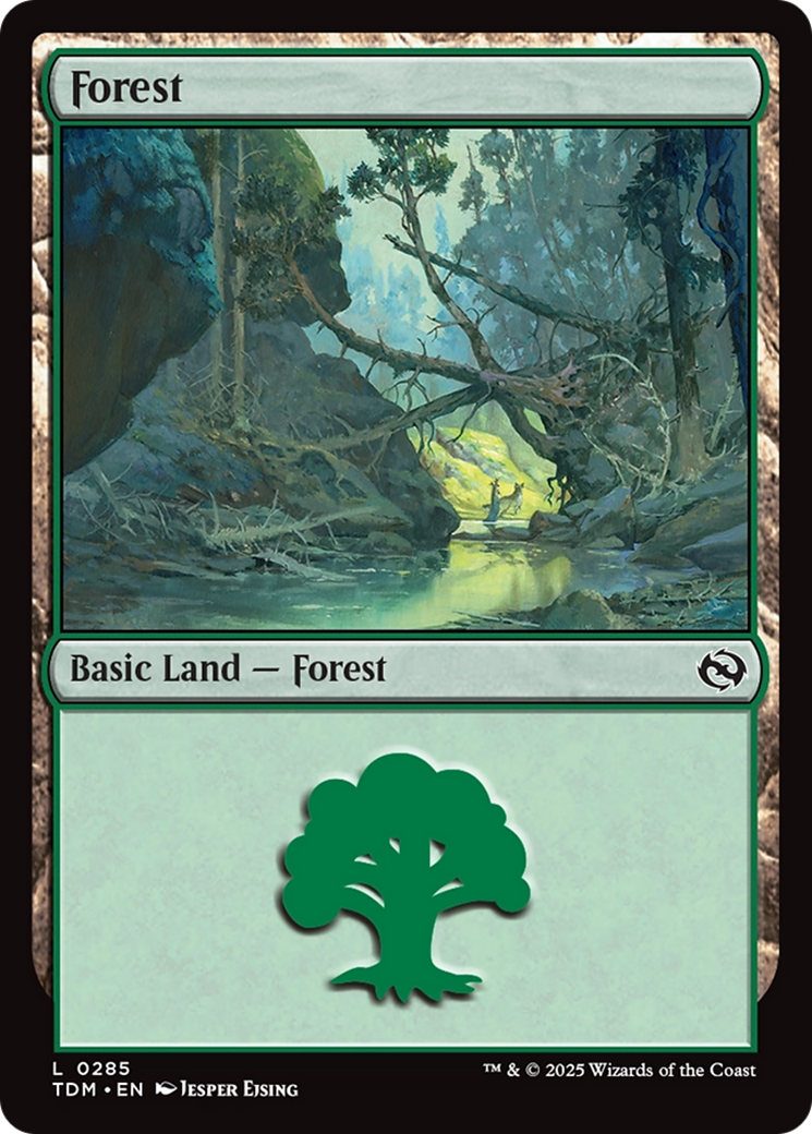 Forest (0285) [Tarkir: Dragonstorm] | Rook's Games and More