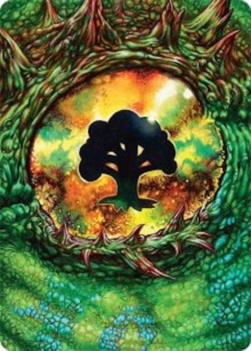 Forest Art Card (32/54) [Tarkir: Dragonstorm Art Series] | Rook's Games and More