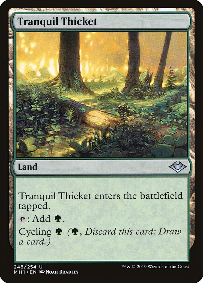 Tranquil Thicket [Modern Horizons] | Rook's Games and More