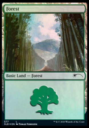 Forest (Walls) (577) [Secret Lair Drop Promos] | Rook's Games and More