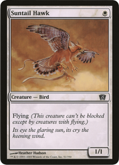 Suntail Hawk (Oversized) [Eighth Edition Box Topper] | Rook's Games and More