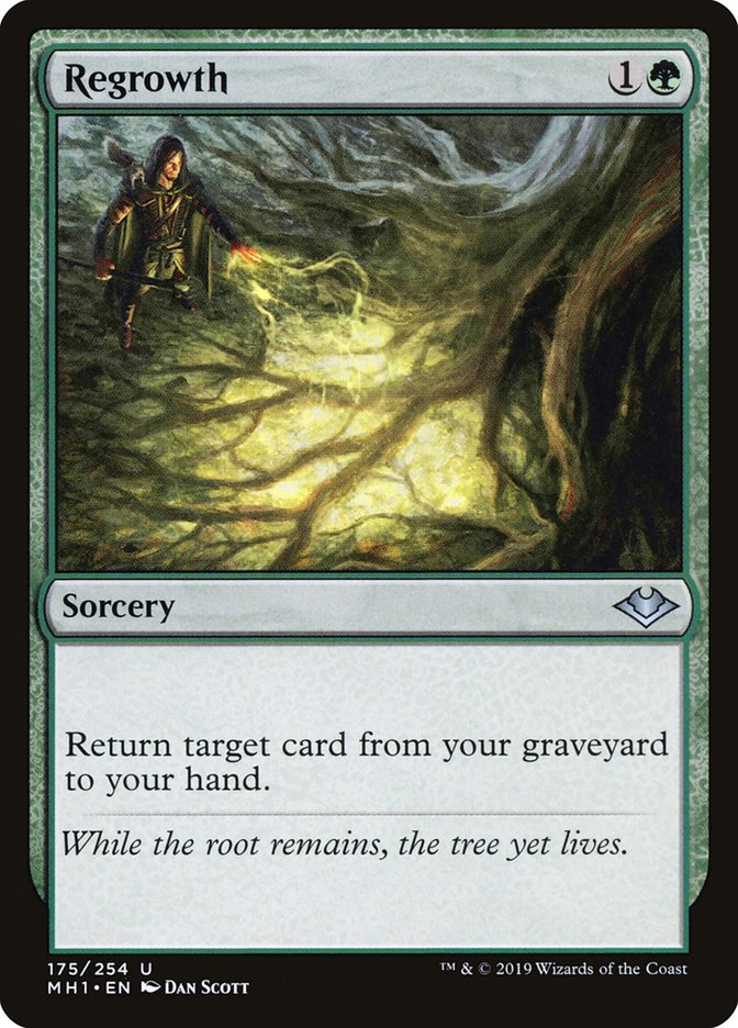 Regrowth [Modern Horizons] | Rook's Games and More