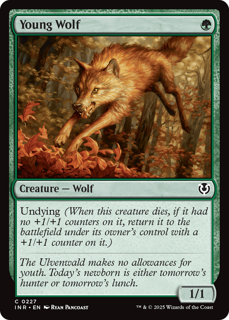 Young Wolf [Innistrad Remastered] | Rook's Games and More