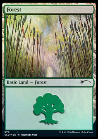 Forest (Elves) (579) [Secret Lair Drop Promos] | Rook's Games and More