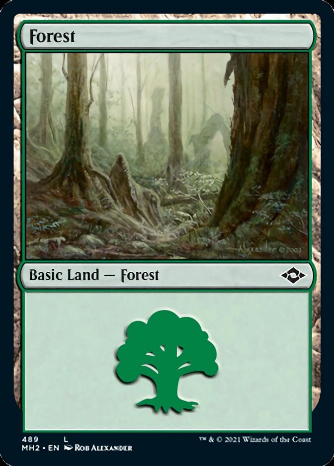Forest (489) [Modern Horizons 2] | Rook's Games and More