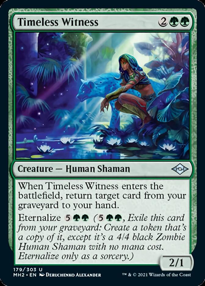 Timeless Witness [Modern Horizons 2] | Rook's Games and More