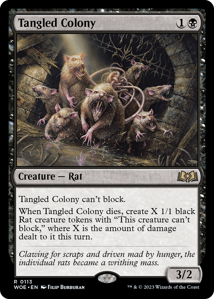 Tangled Colony [Wilds of Eldraine] | Rook's Games and More