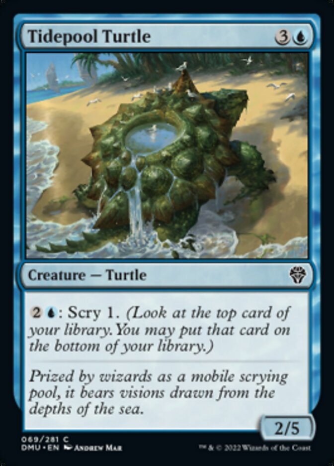 Tidepool Turtle [Dominaria United] | Rook's Games and More