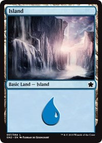 Island [Magic Game Night 2019] | Rook's Games and More