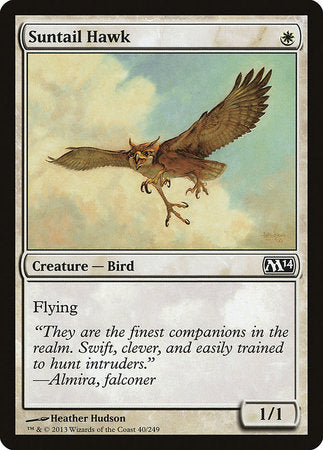 Suntail Hawk [Magic 2014] | Rook's Games and More