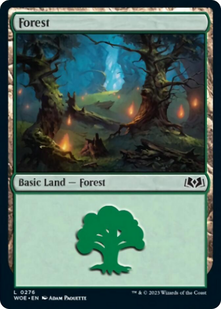 Forest (0276) [Wilds of Eldraine] | Rook's Games and More