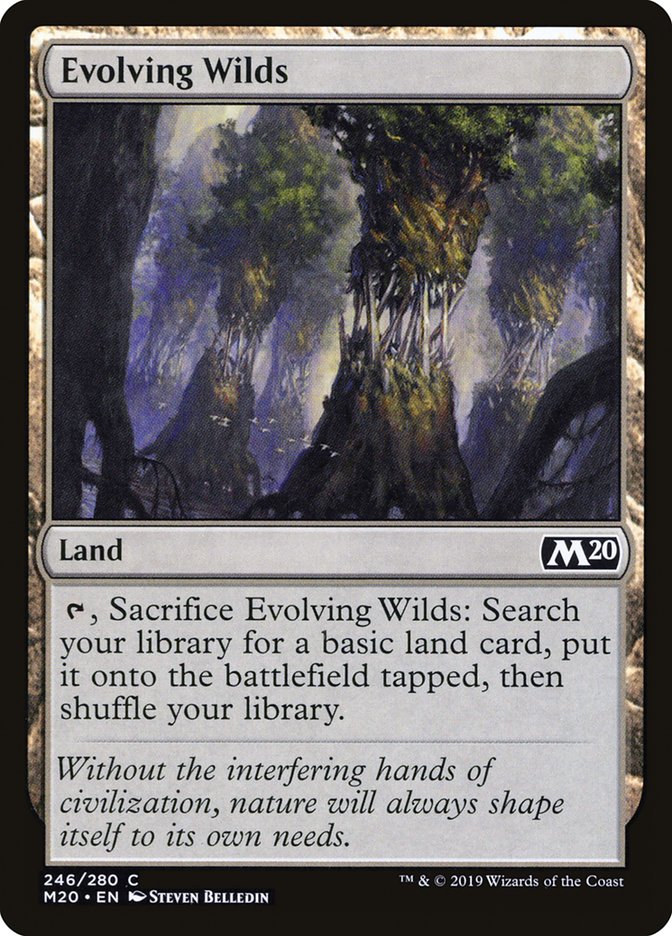 Evolving Wilds [Core Set 2020] | Rook's Games and More