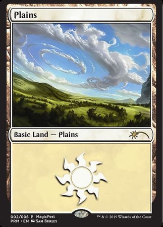 Plains (2019) [MagicFest 2019] | Rook's Games and More