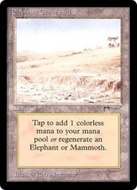 Elephant Graveyard [Arabian Nights] | Rook's Games and More