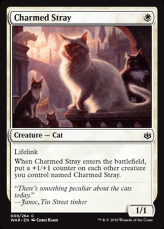 Charmed Stray [War of the Spark] | Rook's Games and More