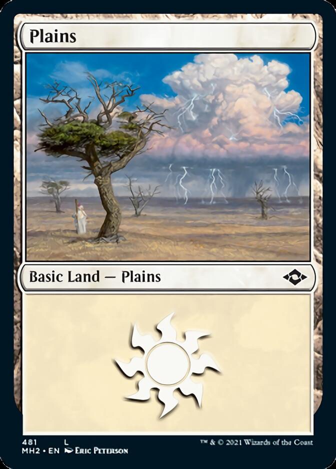 Plains (481) [Modern Horizons 2] | Rook's Games and More