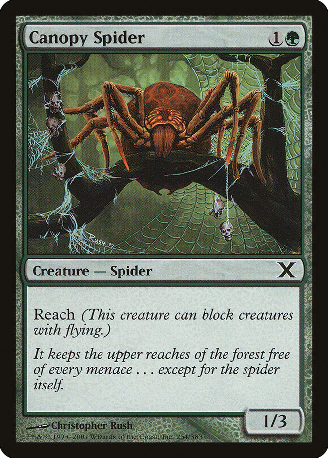 Canopy Spider [Tenth Edition] | Rook's Games and More