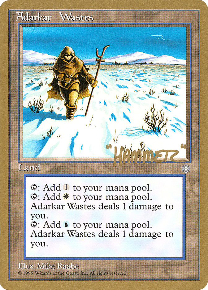 Adarkar Wastes (Shawn "Hammer" Regnier) [Pro Tour Collector Set] | Rook's Games and More