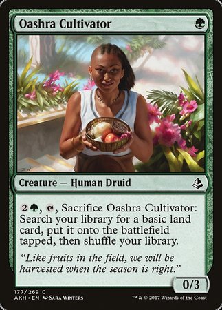 Oashra Cultivator [Amonkhet] | Rook's Games and More
