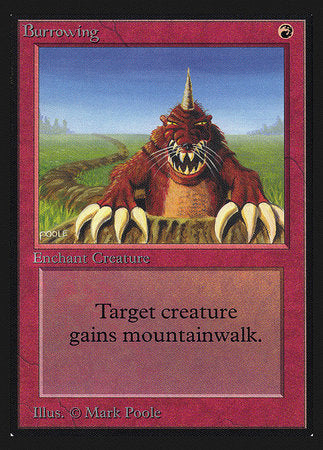 Burrowing (CE) [Collectors’ Edition] | Rook's Games and More