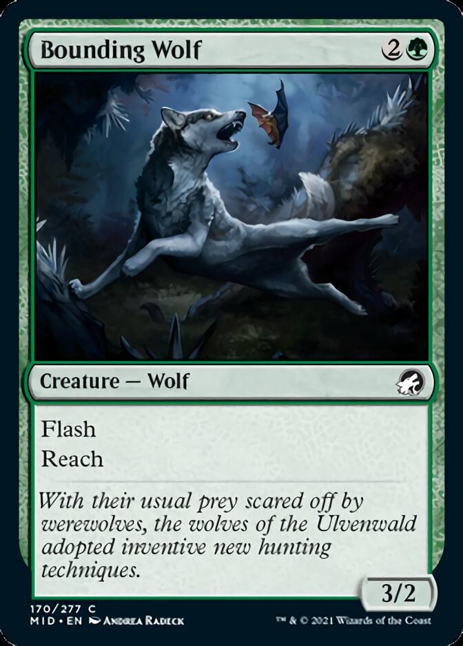 Bounding Wolf [Innistrad: Midnight Hunt] | Rook's Games and More