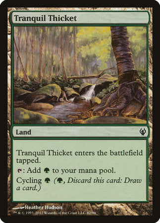 Tranquil Thicket [Duel Decks: Izzet vs. Golgari] | Rook's Games and More