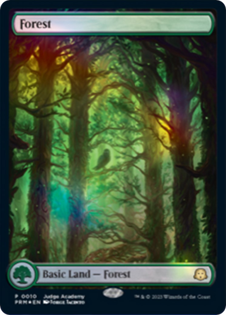 Forest [Judge Gift Cards 2023] | Rook's Games and More