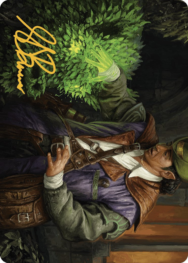 Hedge Whisperer Art Card (Gold-Stamped Signature) [Murders at Karlov Manor Art Series] | Rook's Games and More