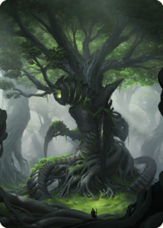 Forest Art Card [The Brothers' War Art Series] | Rook's Games and More