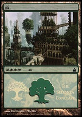 Forest - Selesnya Conclave [Magic Premiere Shop]