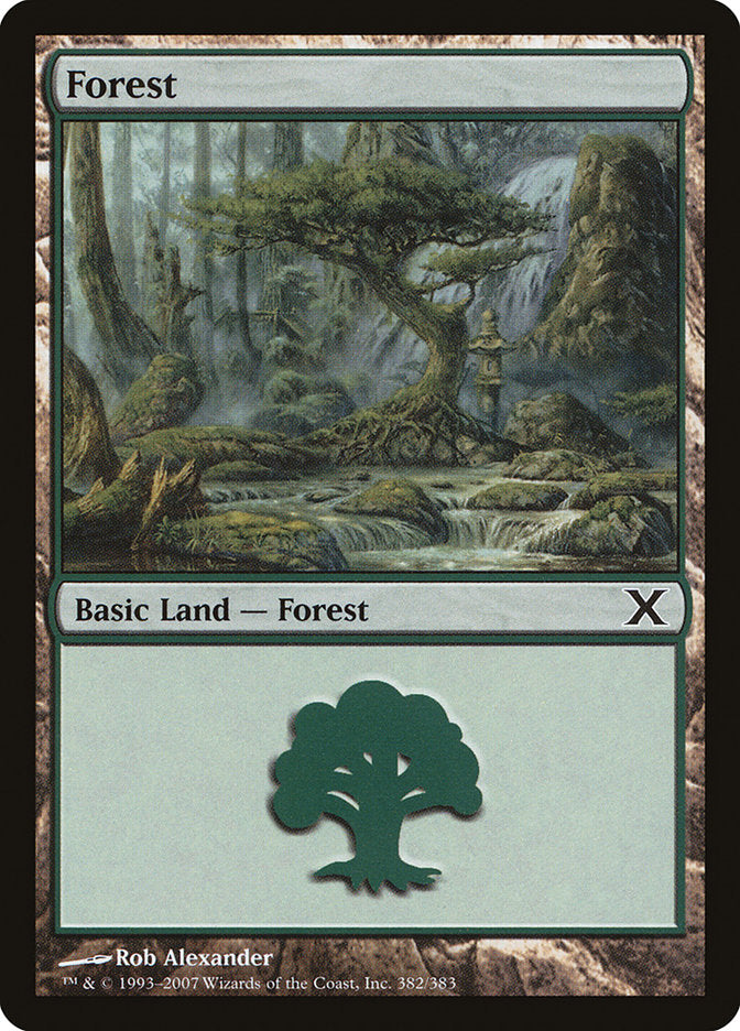 Forest (382) [Tenth Edition] | Rook's Games and More