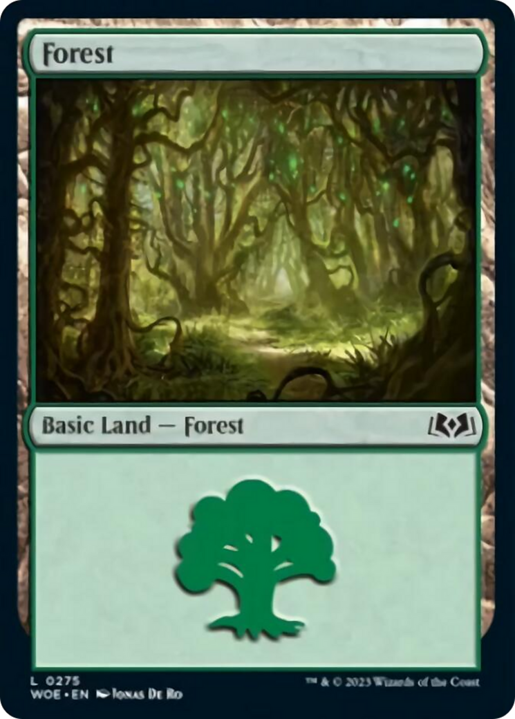 Forest (0275) [Wilds of Eldraine] | Rook's Games and More
