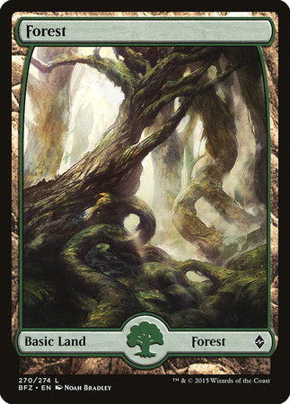 Forest (270) - Full Art [Battle for Zendikar] | Rook's Games and More