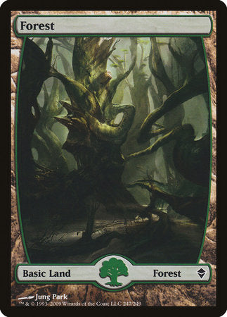 Forest (247) - Full Art [Zendikar] | Rook's Games and More