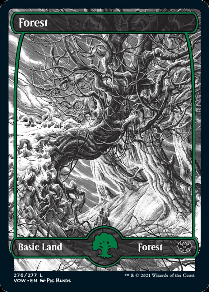 Forest (276) [Innistrad: Crimson Vow] | Rook's Games and More