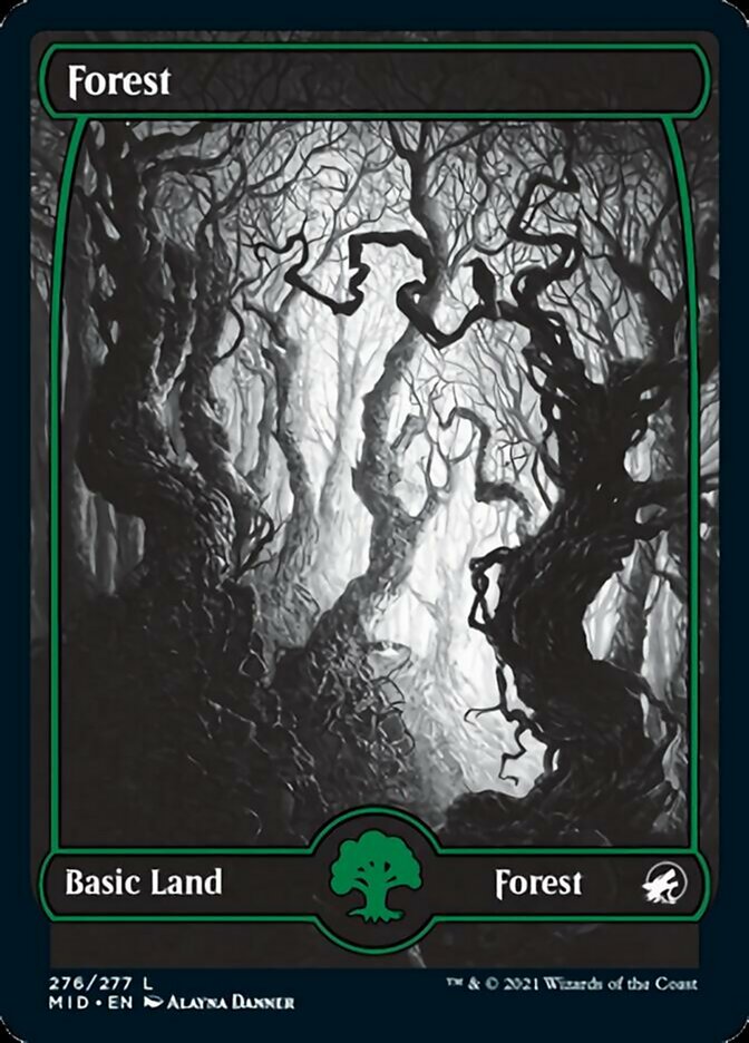 Forest (276) [Innistrad: Midnight Hunt] | Rook's Games and More