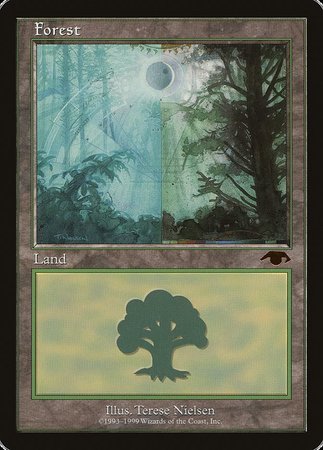 Forest - Guru [Guru] | Rook's Games and More