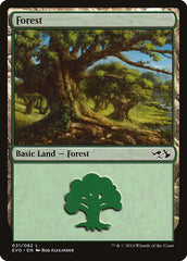 Forest (31) (Elves vs. Goblins) [Duel Decks Anthology]