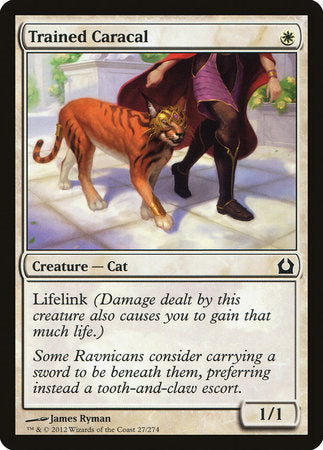 Trained Caracal [Return to Ravnica] | Rook's Games and More