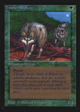 Timber Wolves (IE) [Intl. Collectors’ Edition] | Rook's Games and More