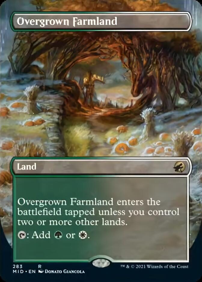 Overgrown Farmland (Borderless) [Innistrad: Midnight Hunt] | Rook's Games and More